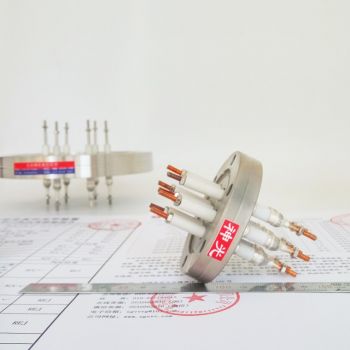 CF高壓電極法蘭
