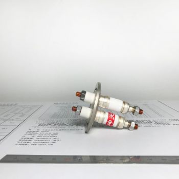 KF法蘭真空電極